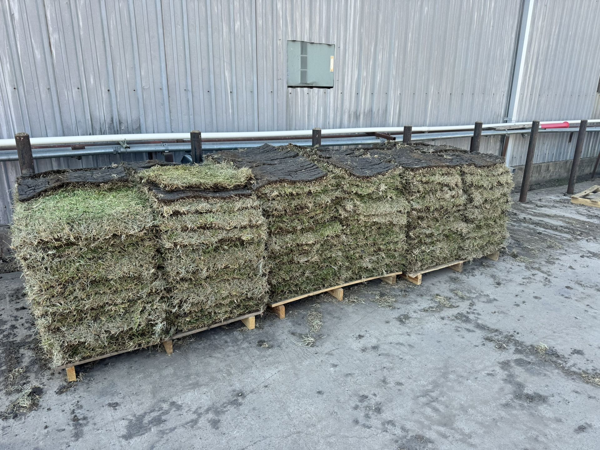 St Augustine Sod Grass for Sale in Richardson, TX OfferUp