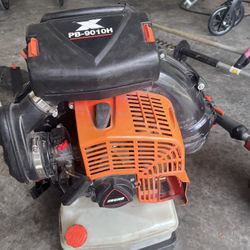 Echo Backpack Blower
