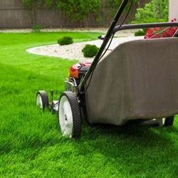 Cut gras Power Washing Painting And More