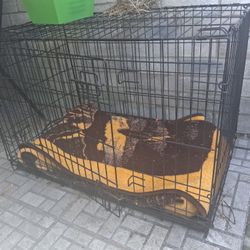 Large Dog Kennel
