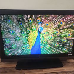 42" Westinghouse TV - 1080Pure - Priced to Sell