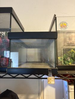 Reptile Enclosure