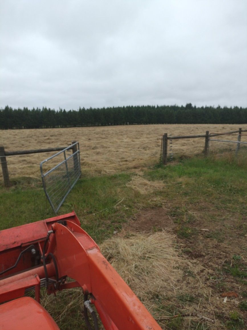 baled hay in field