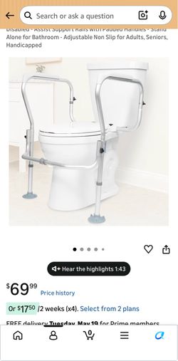 Vive Toilet Safety Rail Frame.