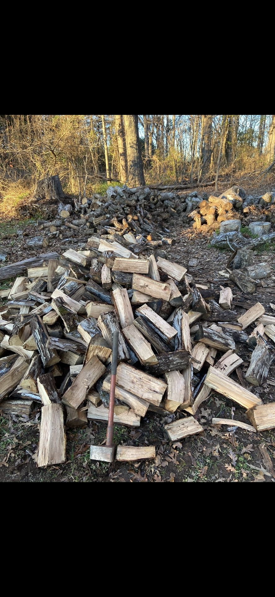 Firewood