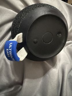 Speaker