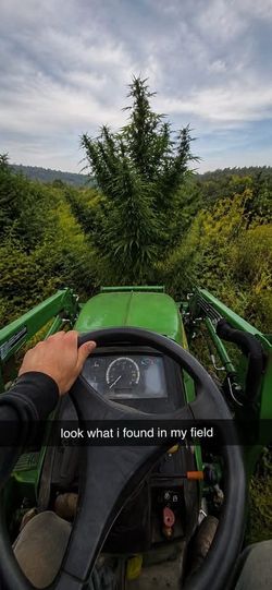 ISO: “JOHN DEERE 445 “riding lawn mower in Washington state.