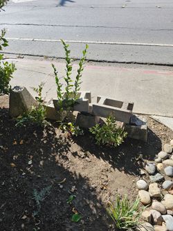 Free concrete masonry blocks