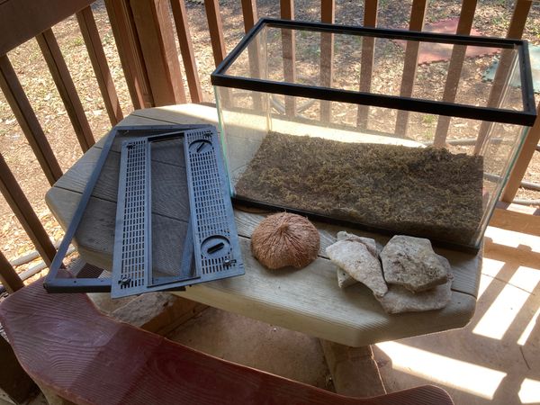 hermit crab habitat- 10 Gallon aquarium with lid for Sale in Cibolo, TX ...