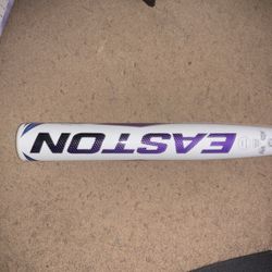 Baseball Bat Easton