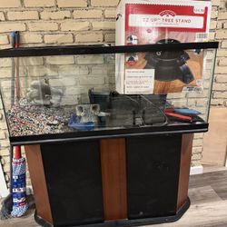 55 Gallon Fish Tank 