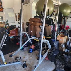 Weight Rack And Pull Up Bar, Bench, and Adjustable Dumbbells  