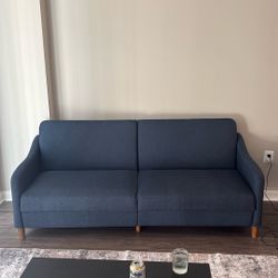 Sleeper Sofa From Wayfair