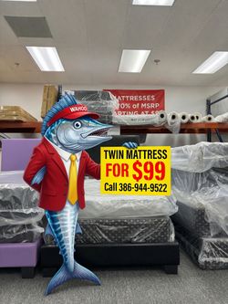 Twin Mattress Sale