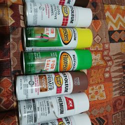 Multi-spray Paint/gloss Protection 