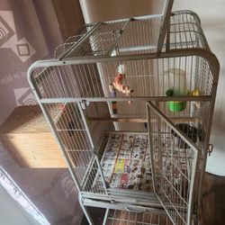 Birds Cage For Sale 