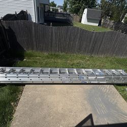 Werner Ladder 