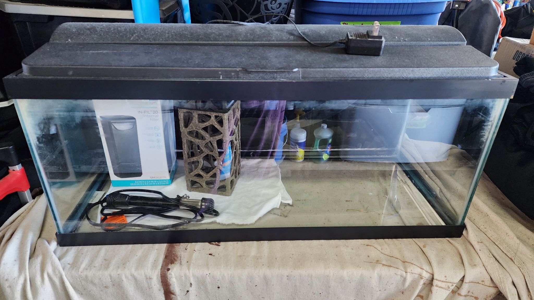 20 gallon fish tank set up