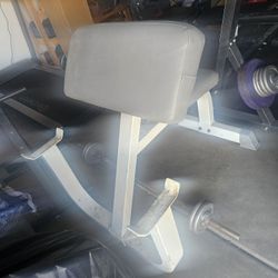 Preacher Curl Bench