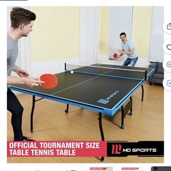 PING PONG TABLE