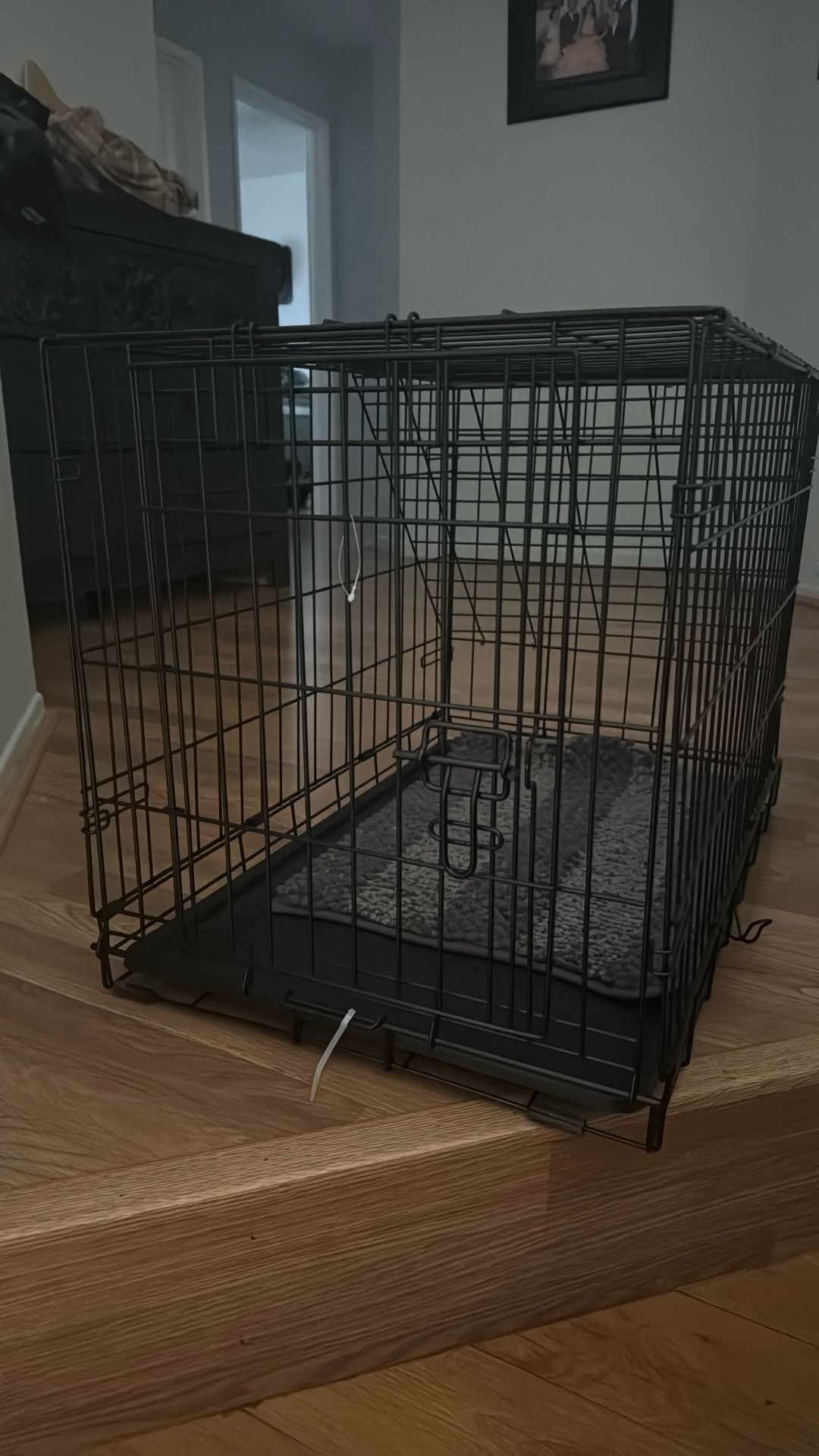 Median Dog Crate