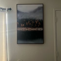 Foggy Forest Canvas 