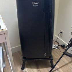 DeLonghi Portable AC $110