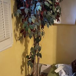 Faux Ficus 