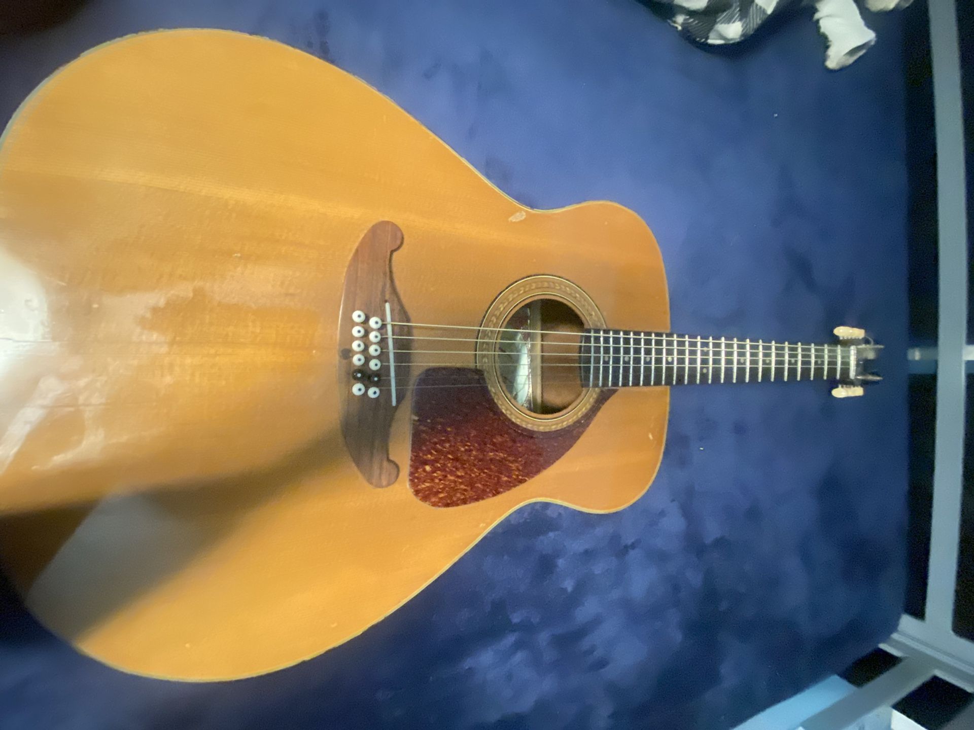 Classical Guitar 12 String