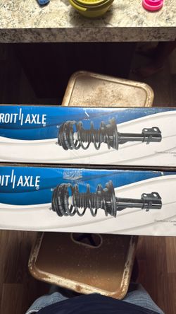 Strut and coil
