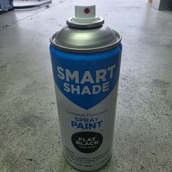 New Flat Black Spray Paint