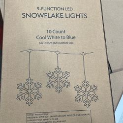 9-function Snowflake Lights