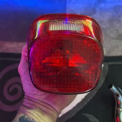 Rear Brake light Oem Harley Davidson Assembly 