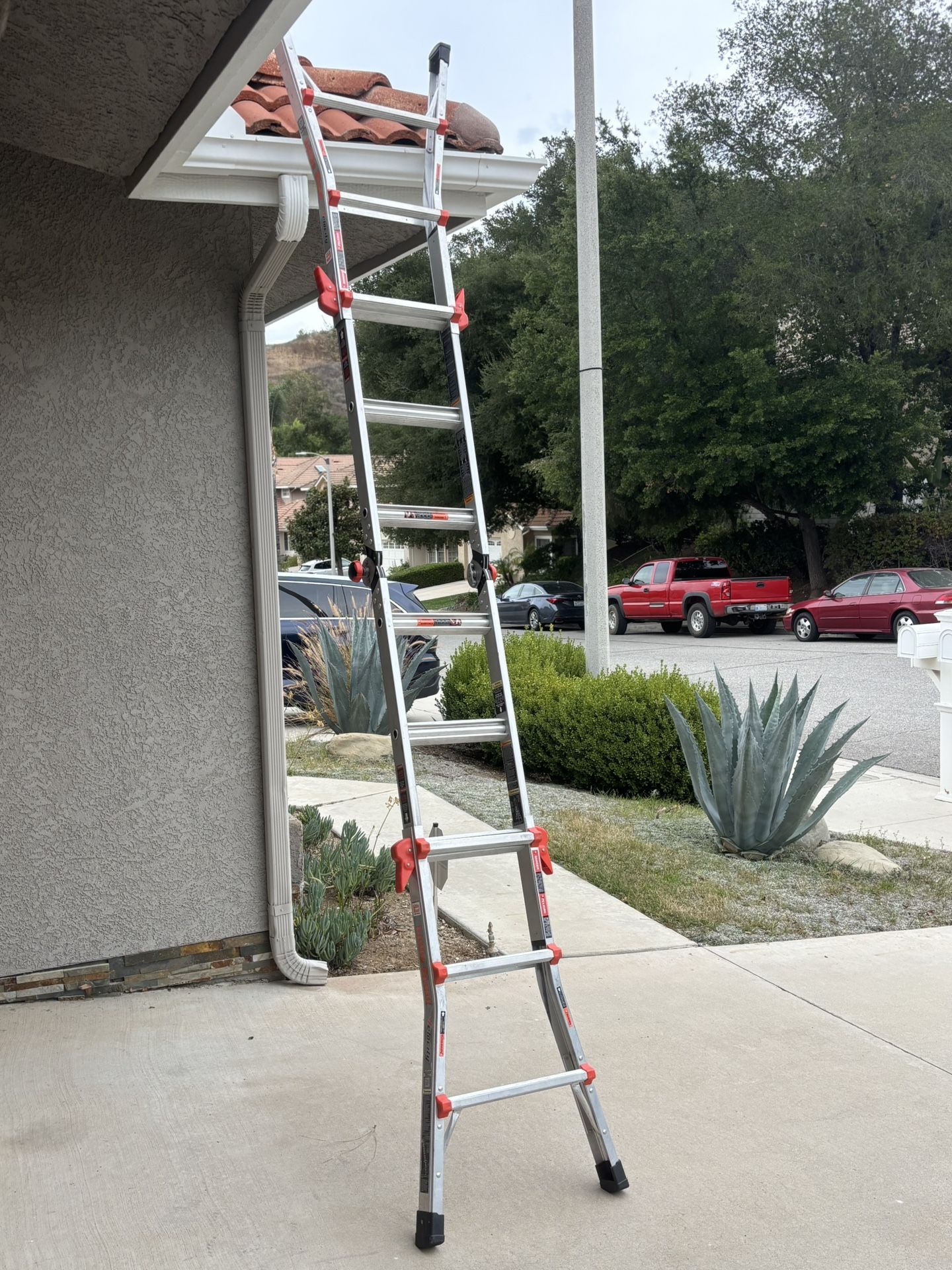Little Giant “Velocity” Ladder