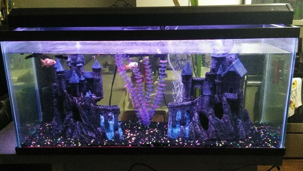 Photo inspiration: Whole Fish Tank For Sale For Sale In Costa Mesa Photo Inspiration