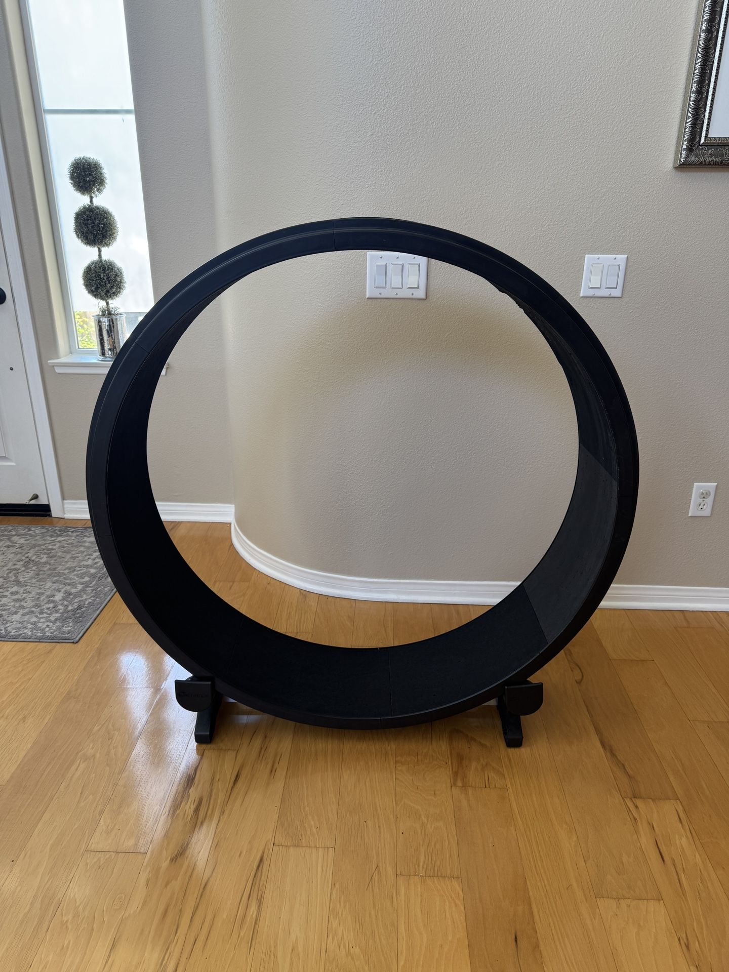 Cat Wheel