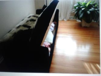 Sleeper couch with storage