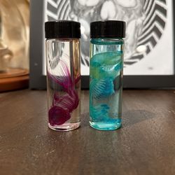 Diaphonized Gold Fish And Rat Pup