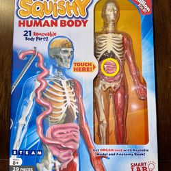 Squishy Human Body Anatomy Set
