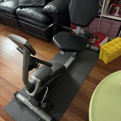 Therapeutic Exercise Bike 