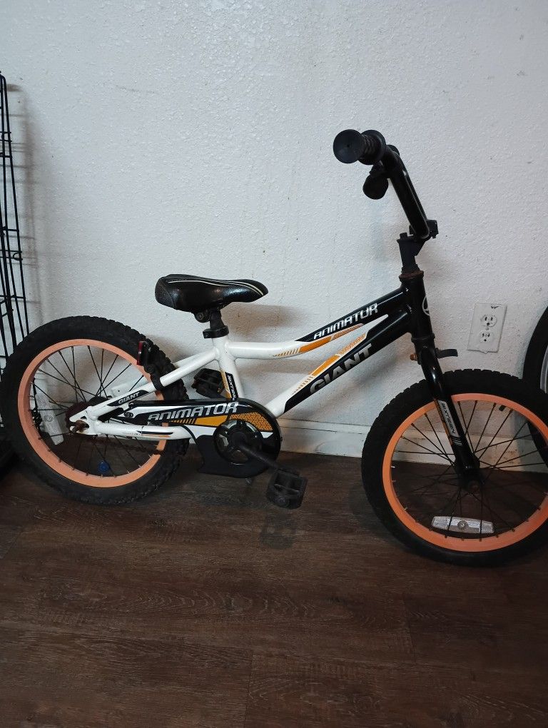 16 Inch Kids Giant Bike
