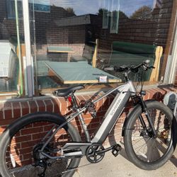 Schwinn Electric bike