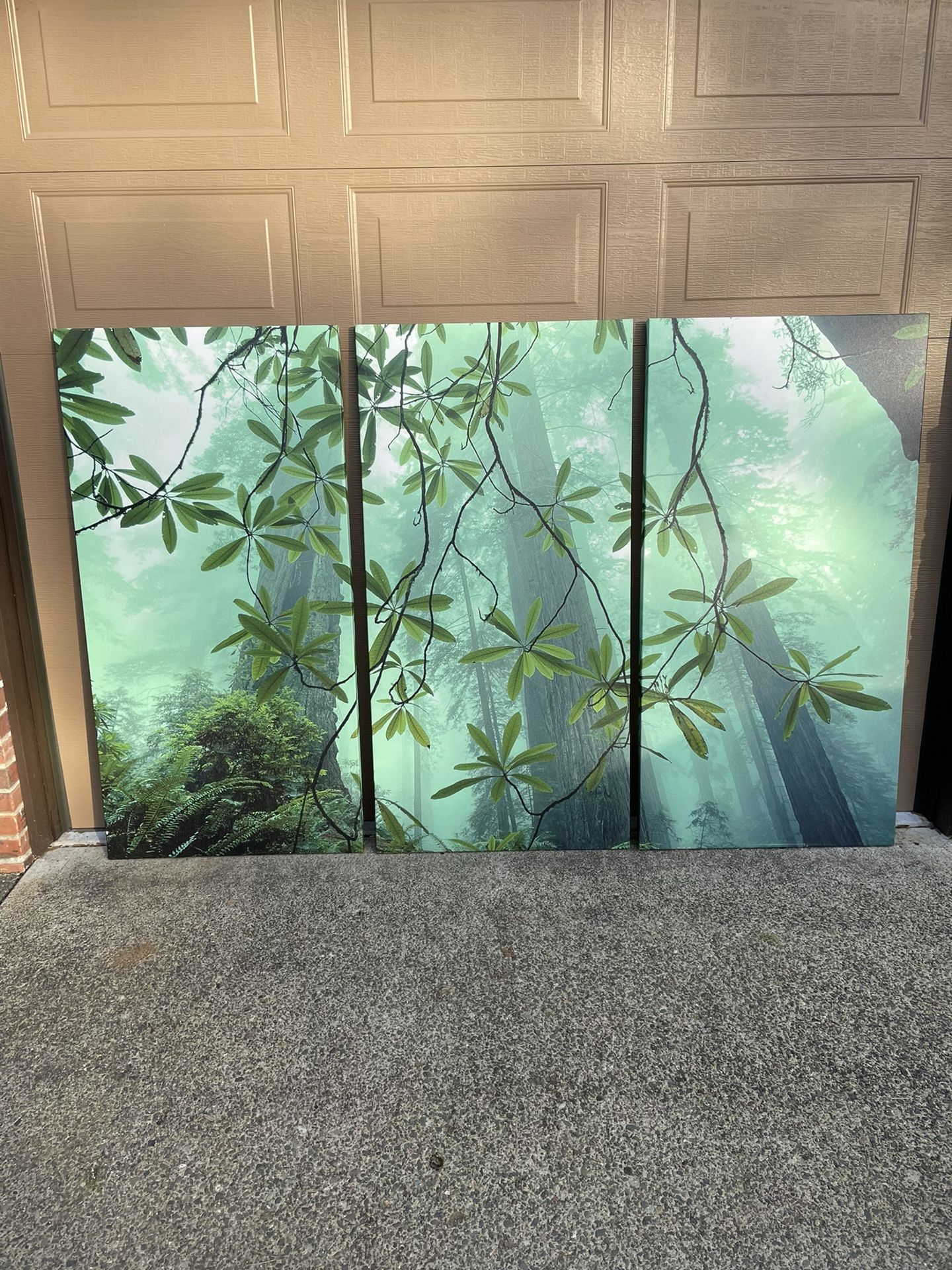 Canvas Photos
