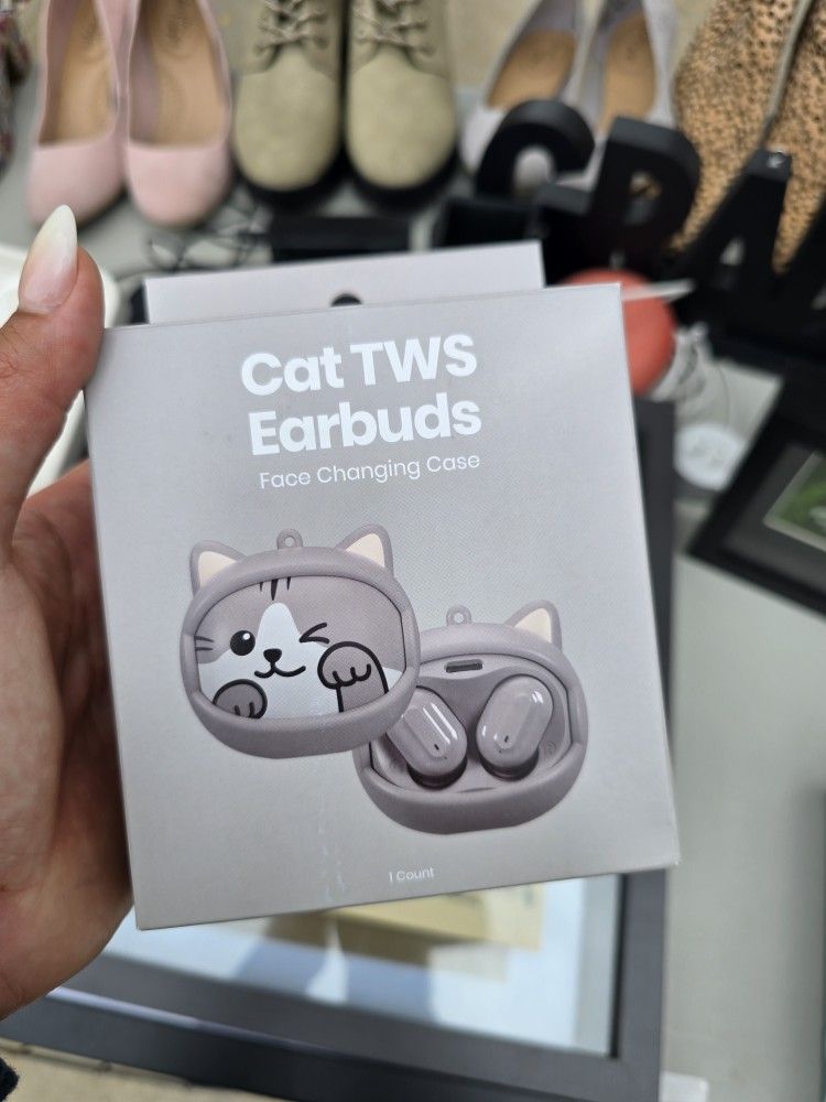 Earbuds Case