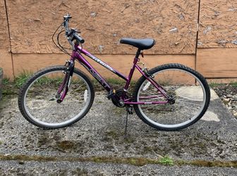 Next Elevation Mountain Bike