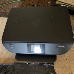 Hp Printer