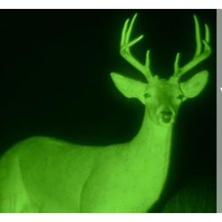 New In The Box Night Vision Goggles