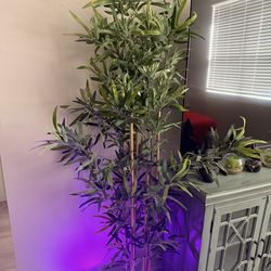 Modern Home Decor Bundle – 2 Tall Plants + Table Decor (Great Condition)