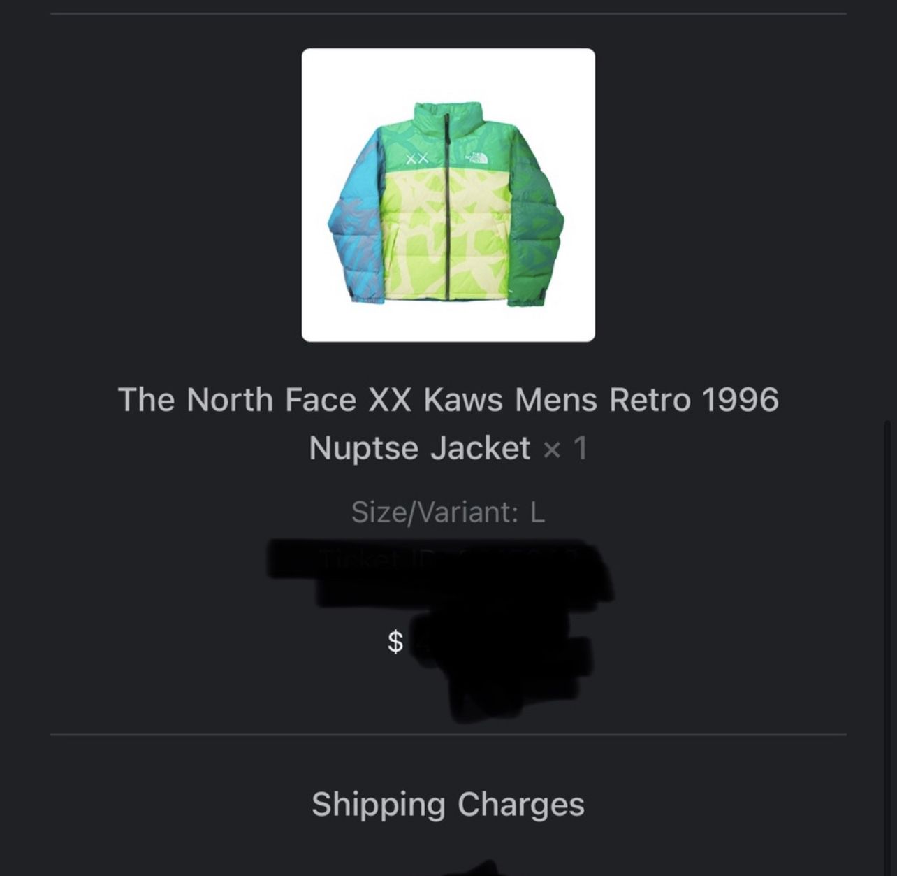KAWS X The North Face Retro 1996 Nupte Jacket