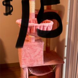 Cat Condo
